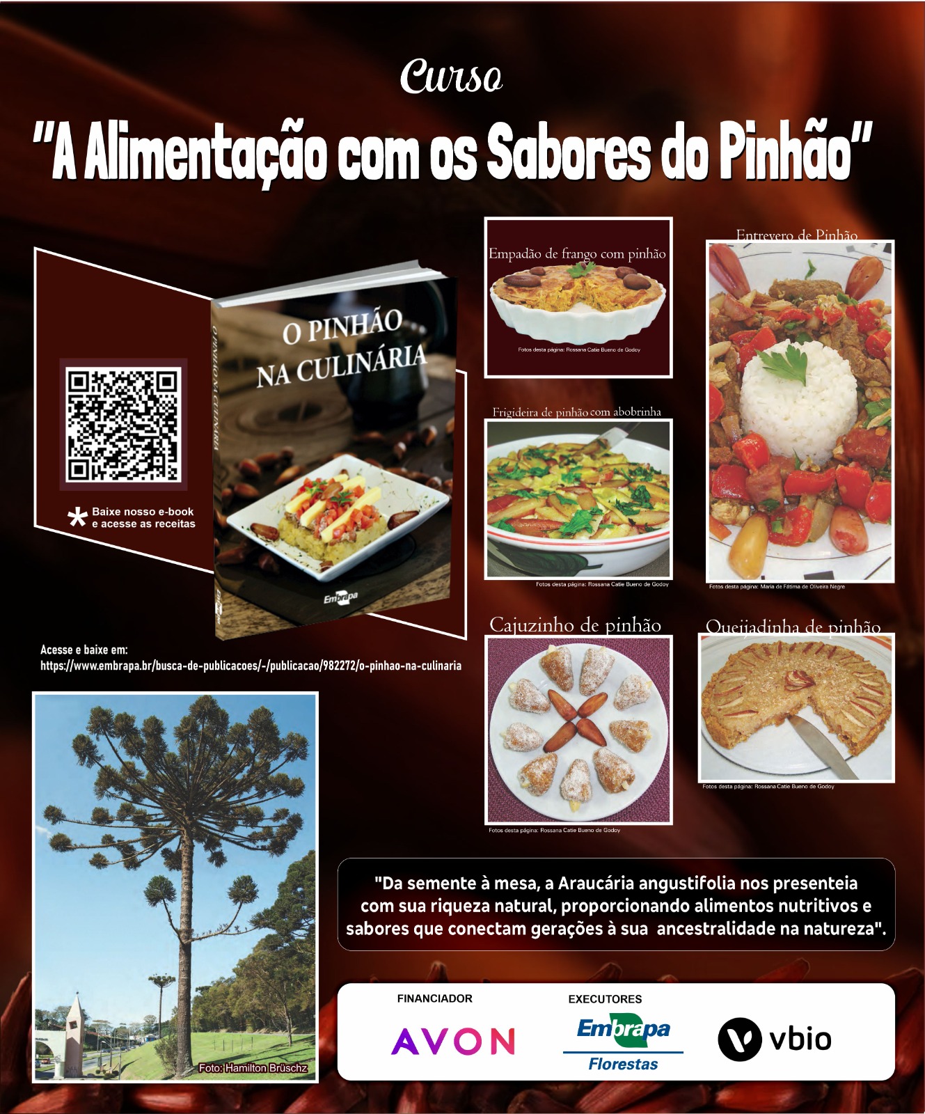 Foto de A Alimentação com os Sabores do Pinhão